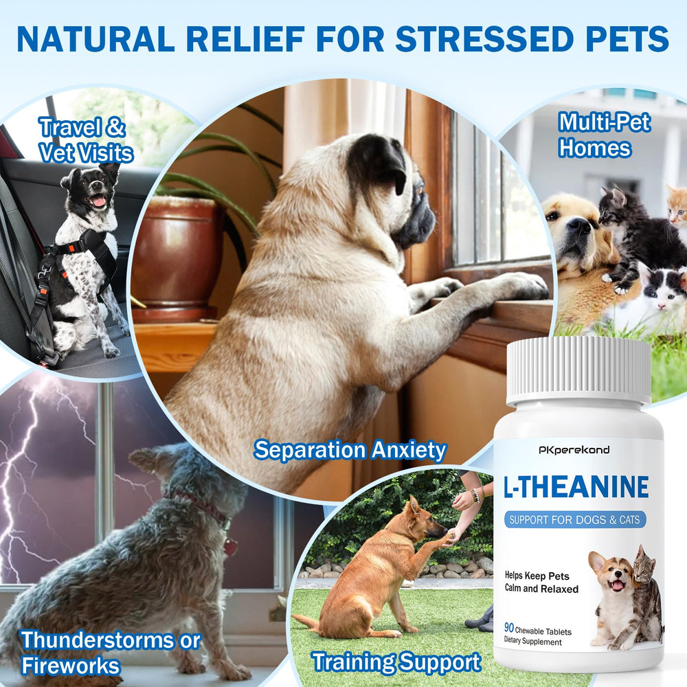 PKperekond L-Theanine chewing tablets closeup showing pure formula for everyday pet stress.
