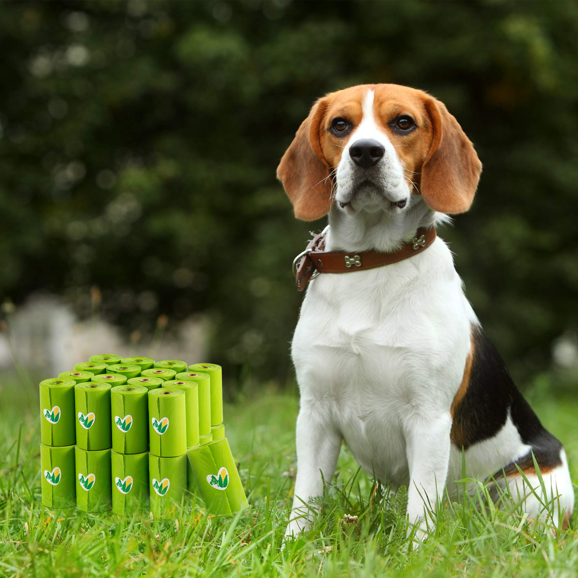 Pkpoo unscented bags reduce irritation for sensitive pets.