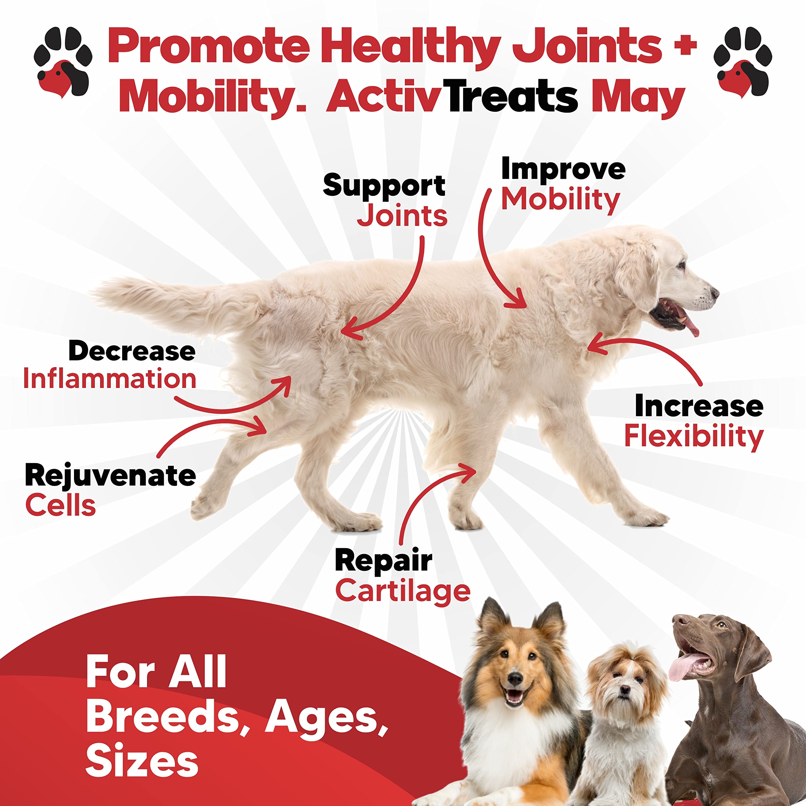 planopaws ActivTreats peanut butter chews promote tasty joint support