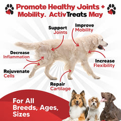planopaws ActivTreats peanut butter chews promote tasty joint support