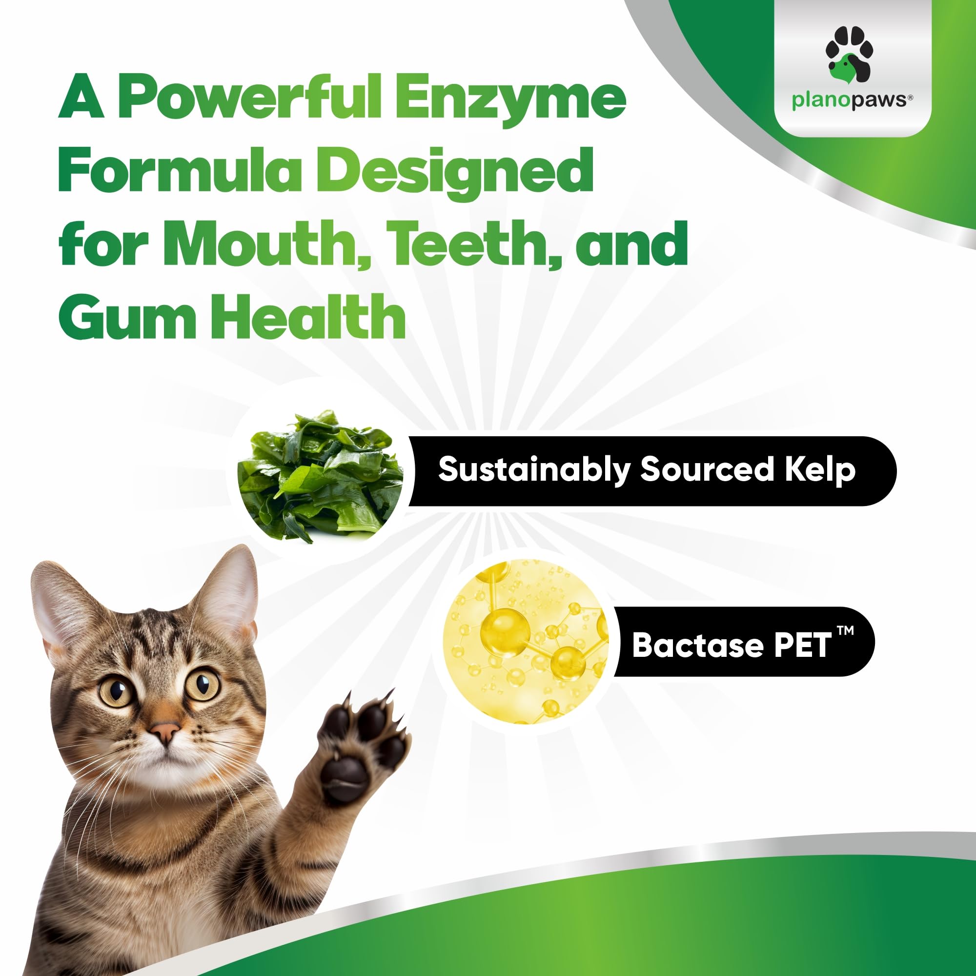 Planopaws Cat Dental Powder enzyme graphics highlighting seven enzymes for plaque support.