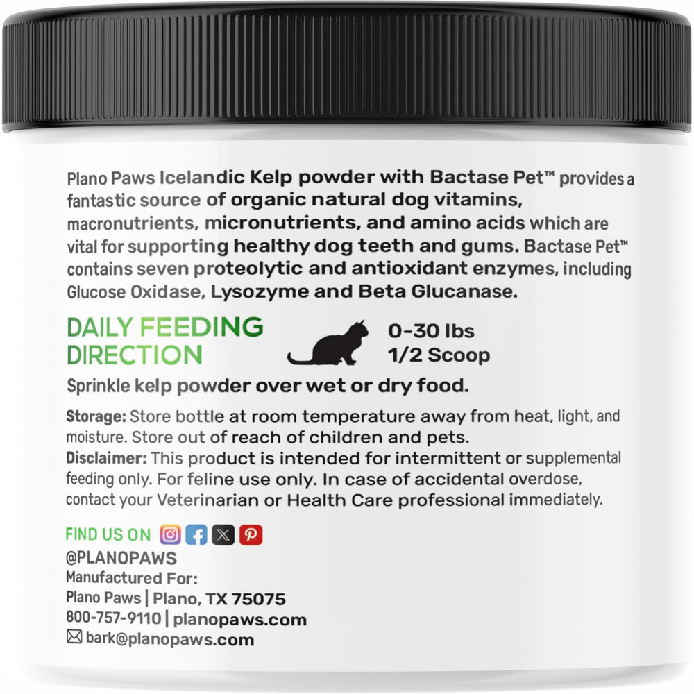Planopaws Cat Dental Powder texture close-up illustrating its powdery, easy-to-mix formula.