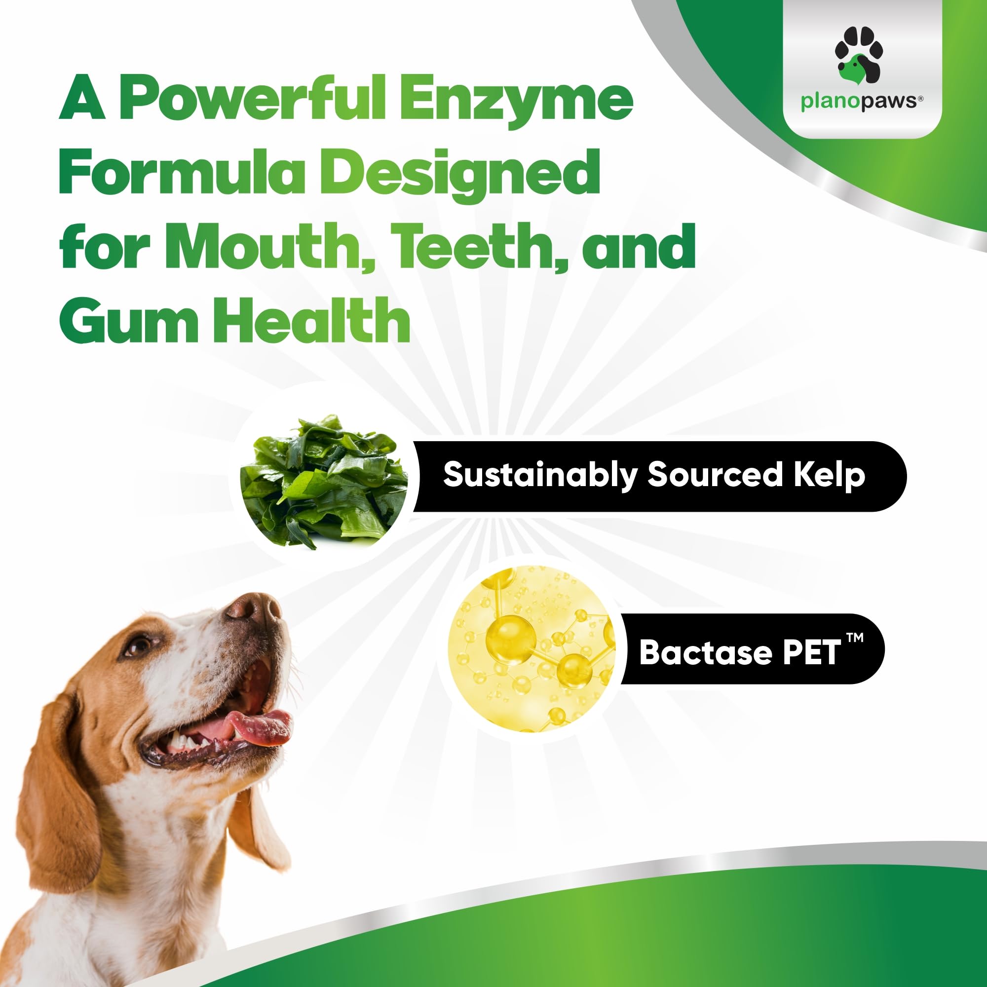 planopaws dental powder tackles tartar around teeth for brighter look