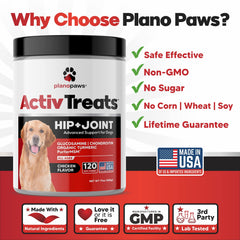Planopaws joint-support chews aiding an active dog