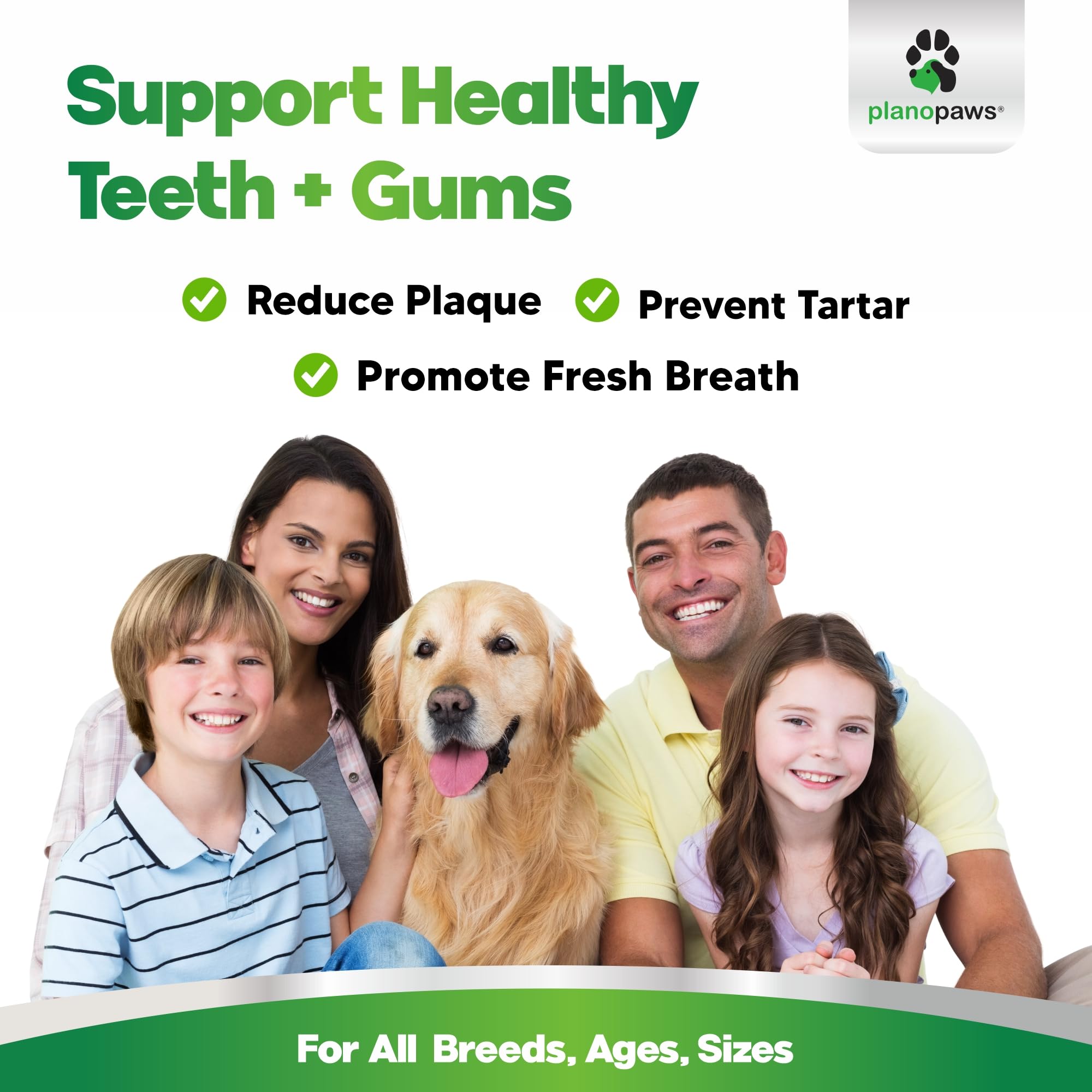 planopaws dog teeth cleaning powder sprinkled on kibble supports daily dental care