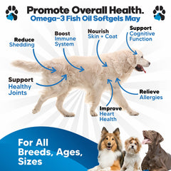 Planopaws Omega-3 dog softgels on food for easy daily administration