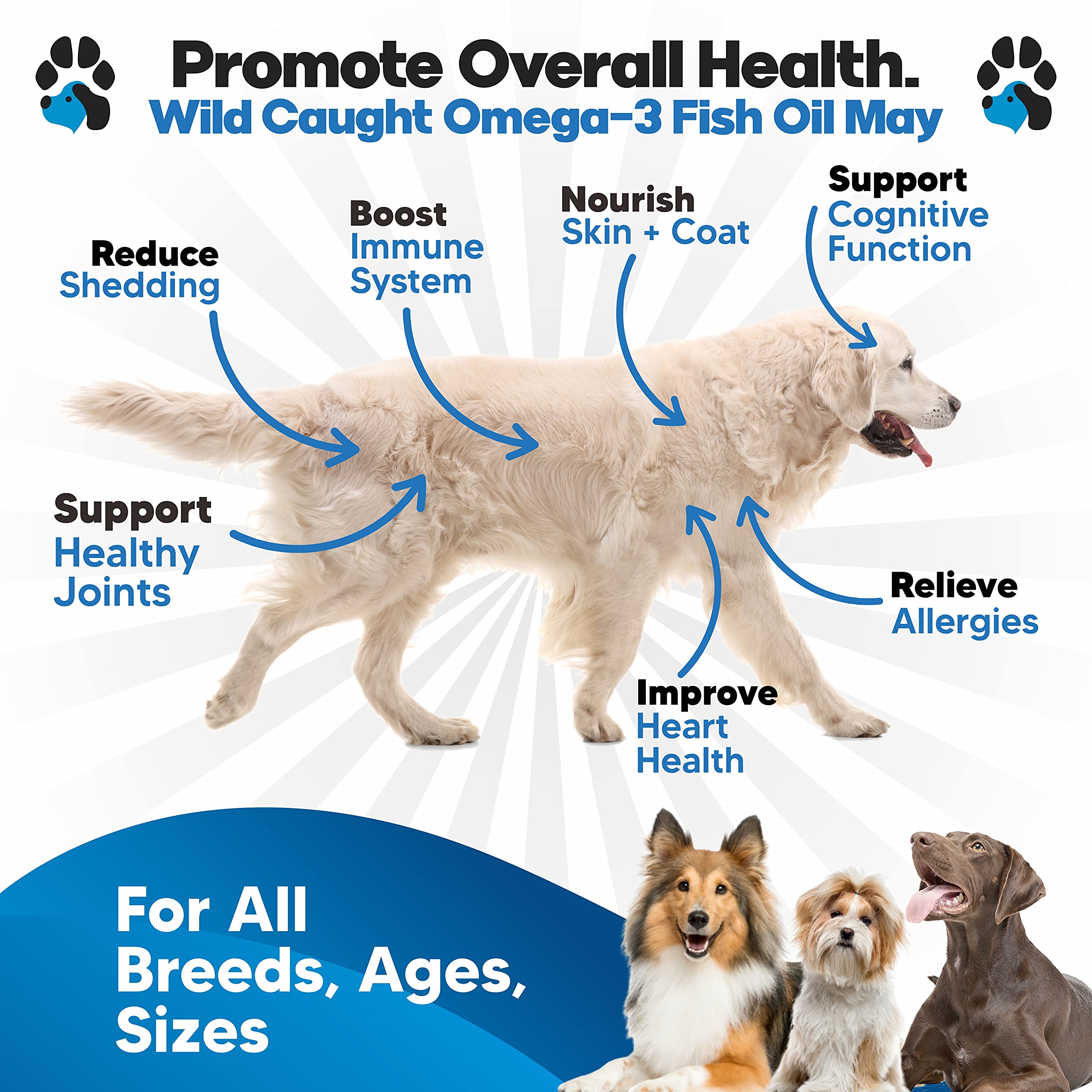 Plano Paws Omega-3 dogs bottle pour demonstrates easy dosing on daily meals.