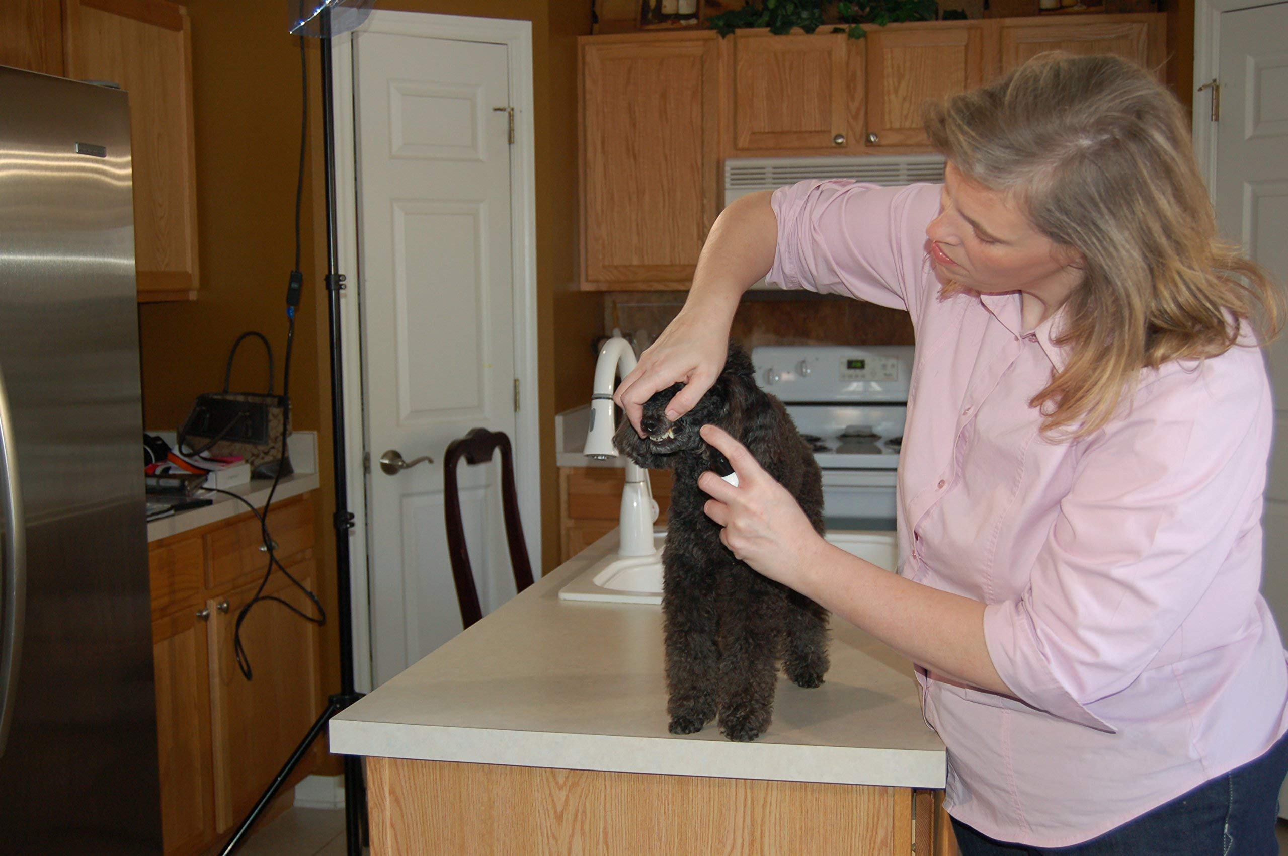 Plaque Attack Dog Dental Spray helps easier maintenance for dogs with tartar.