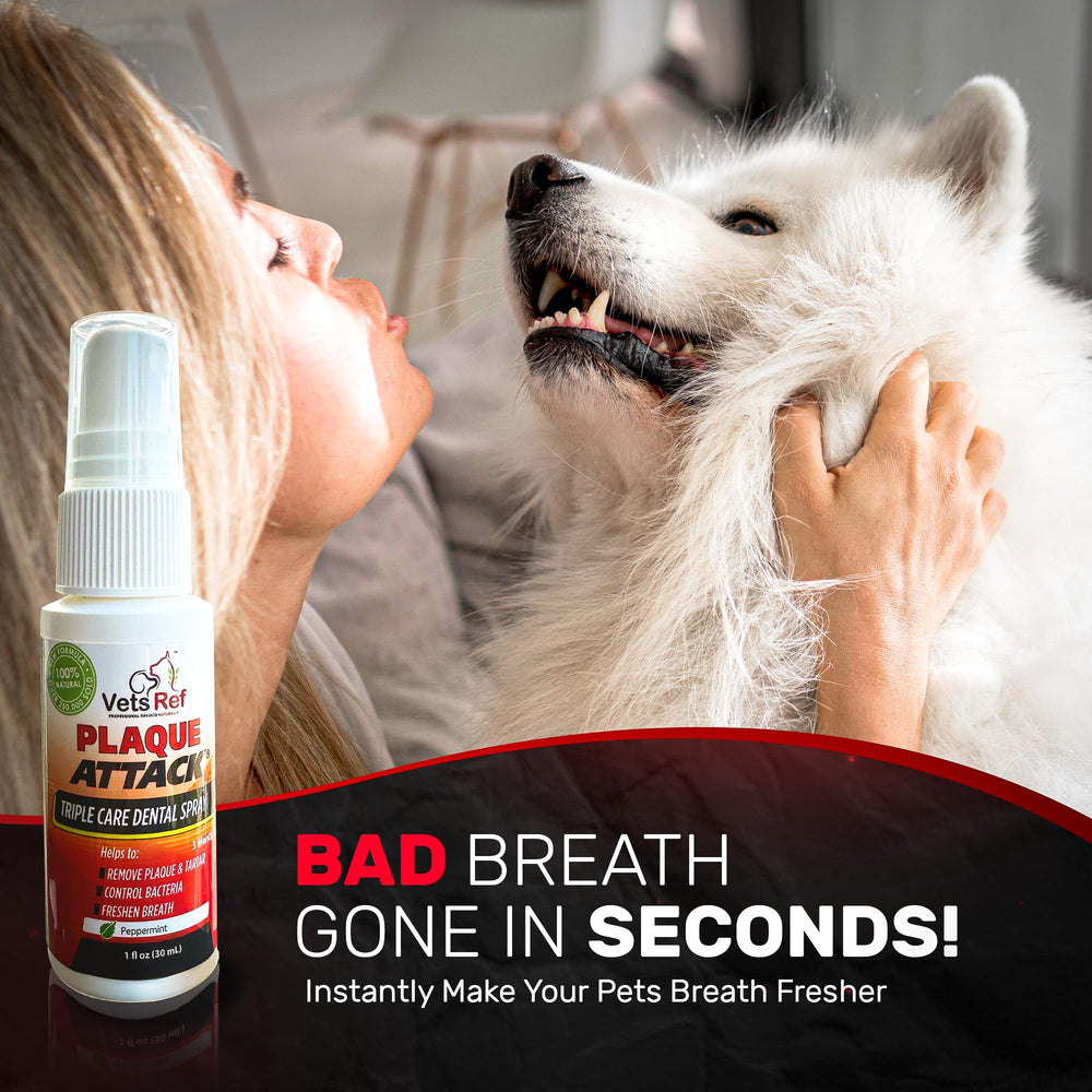 Plaque Attack dental spray application near pet teeth during brushing routine