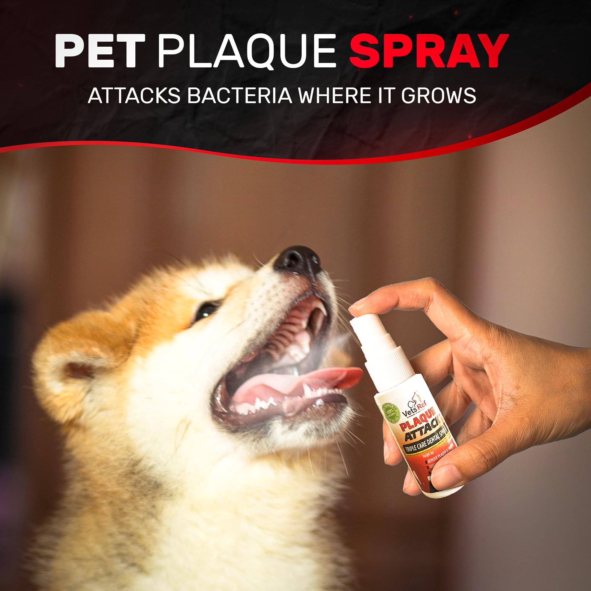 Plaque Attack bottle closeup shows peppermint spray and clear labeling for safe use