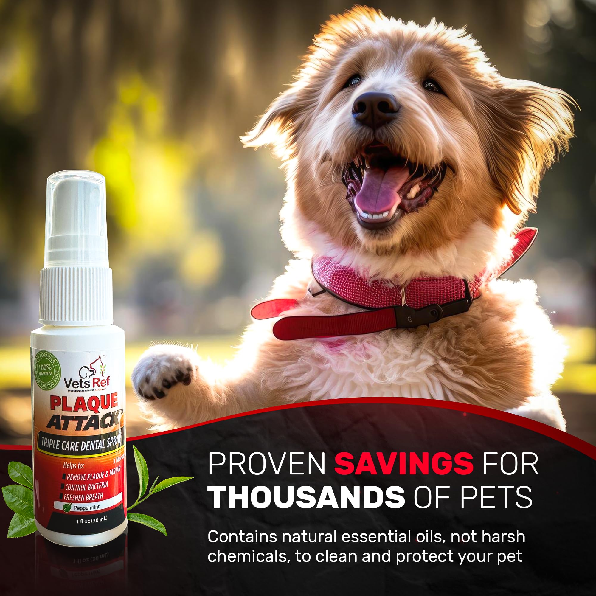 Plaque Attack pet dental spray in use to freshen breath during routine