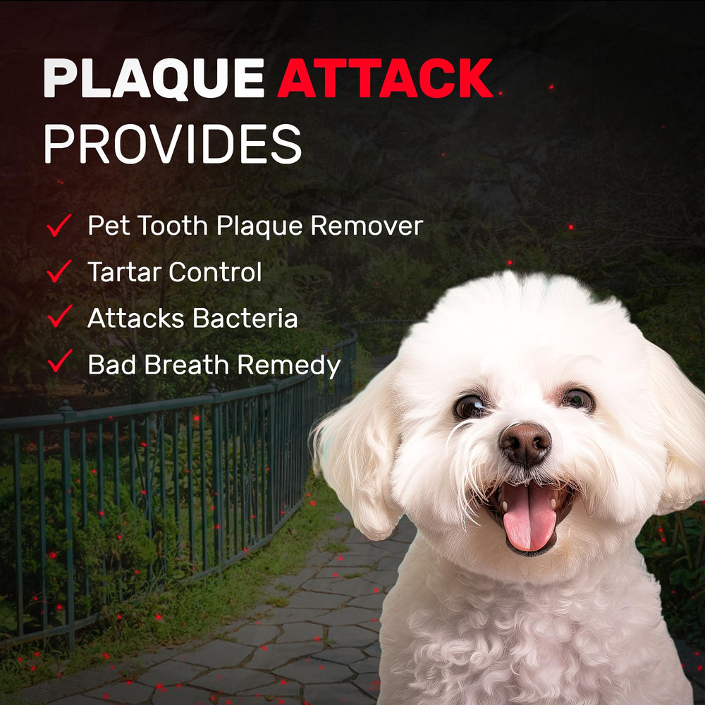 Plaque Attack bottle with label highlighting essential oil formulation