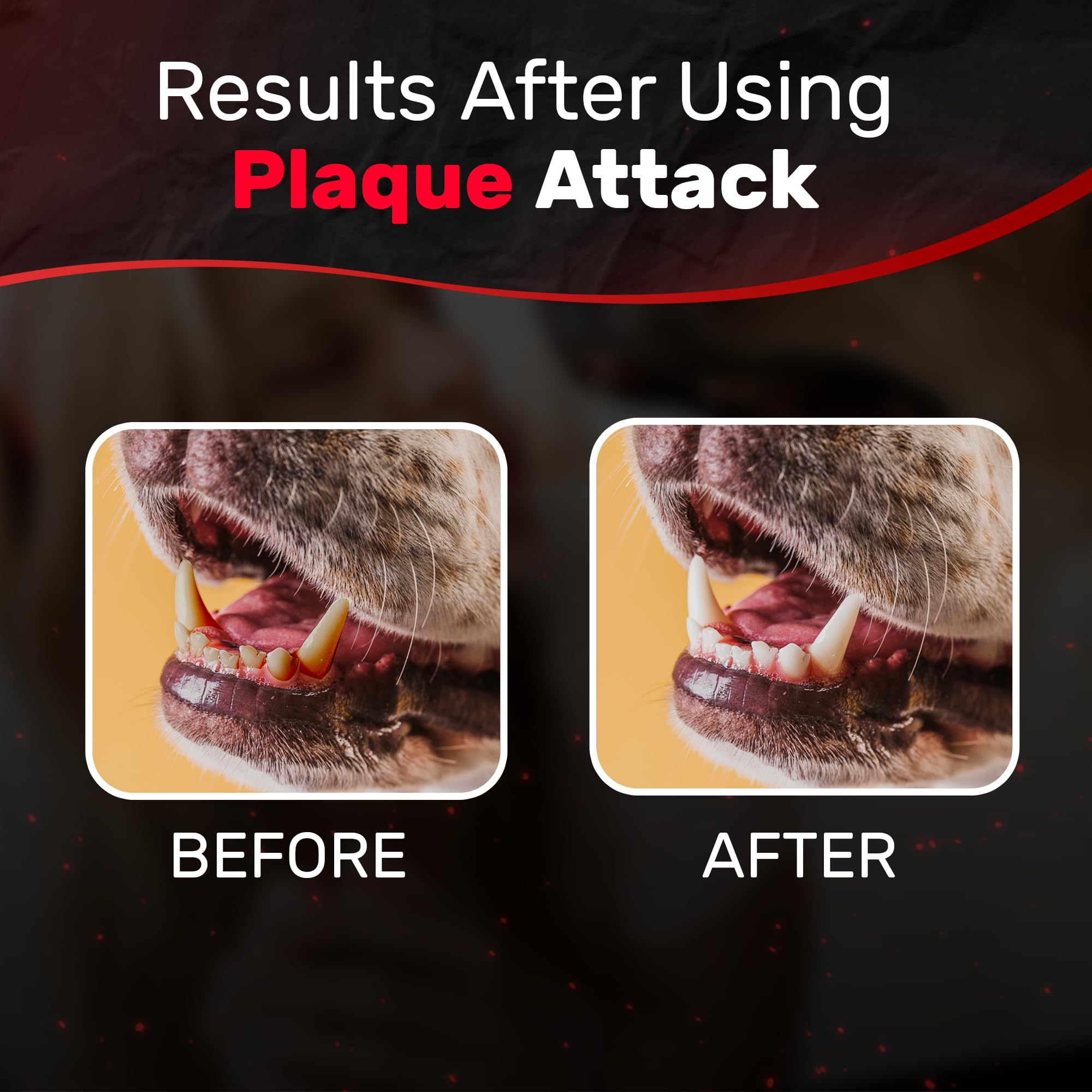 Plaque Attack packaging shows three month supply and peppermint scent