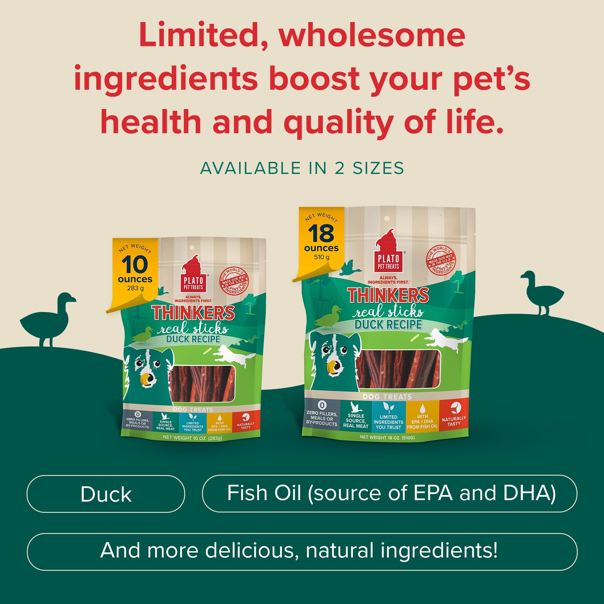 PLATO Thinkers Duck USA facility image conveys quality and California-made production.