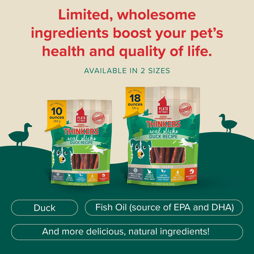 PLATO Thinkers Duck USA facility image conveys quality and California-made production.