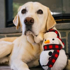 P.L.A.Y. Blizzard Buddy snowman toy close-up highlighting crinkle scarf and durable build.