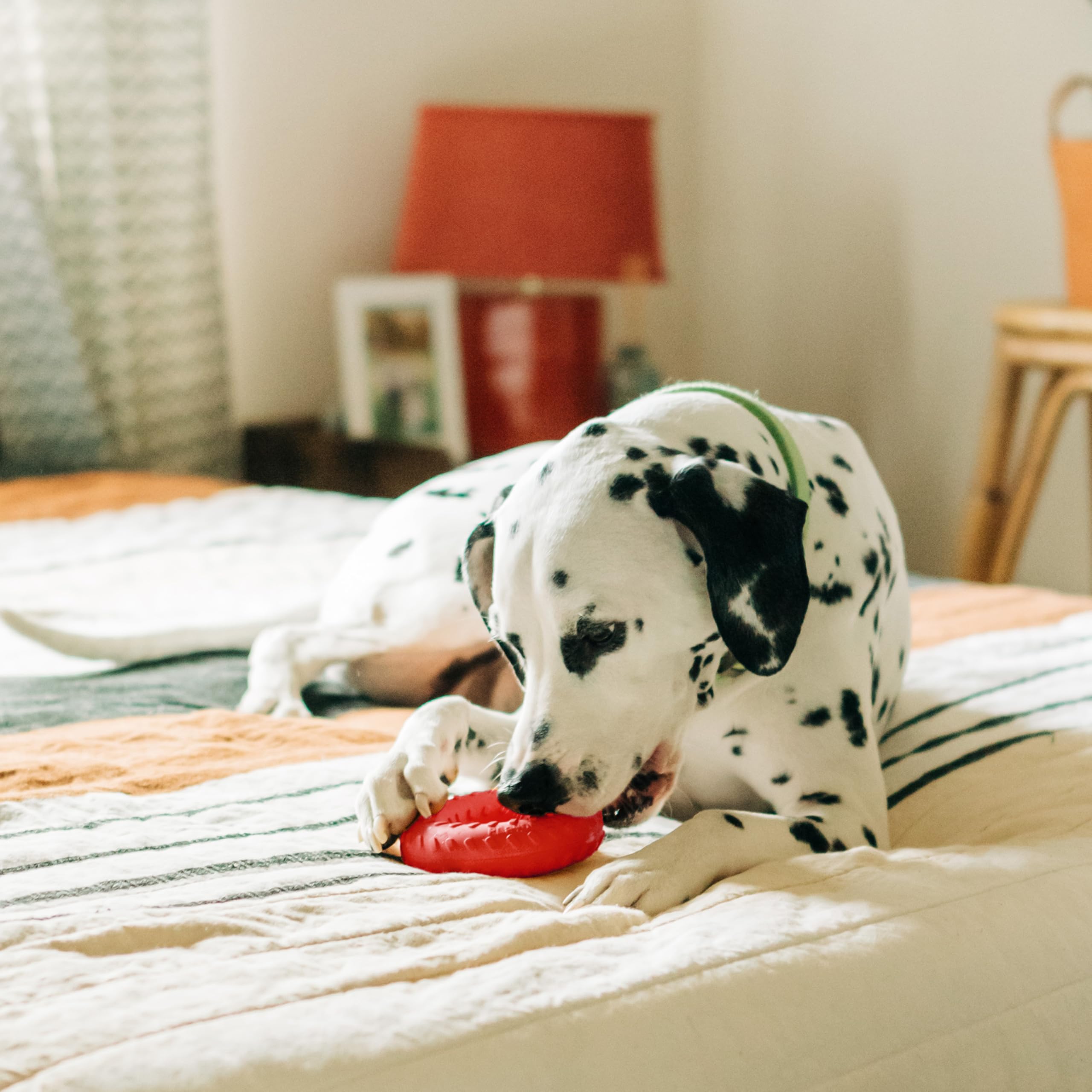 Playology beef-scented toy with long-lasting aroma for engaging playtime