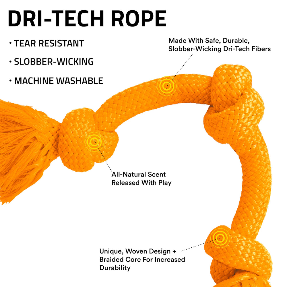 Playology cheddar cheese scented dog toy close-up emphasizes long-lasting aroma