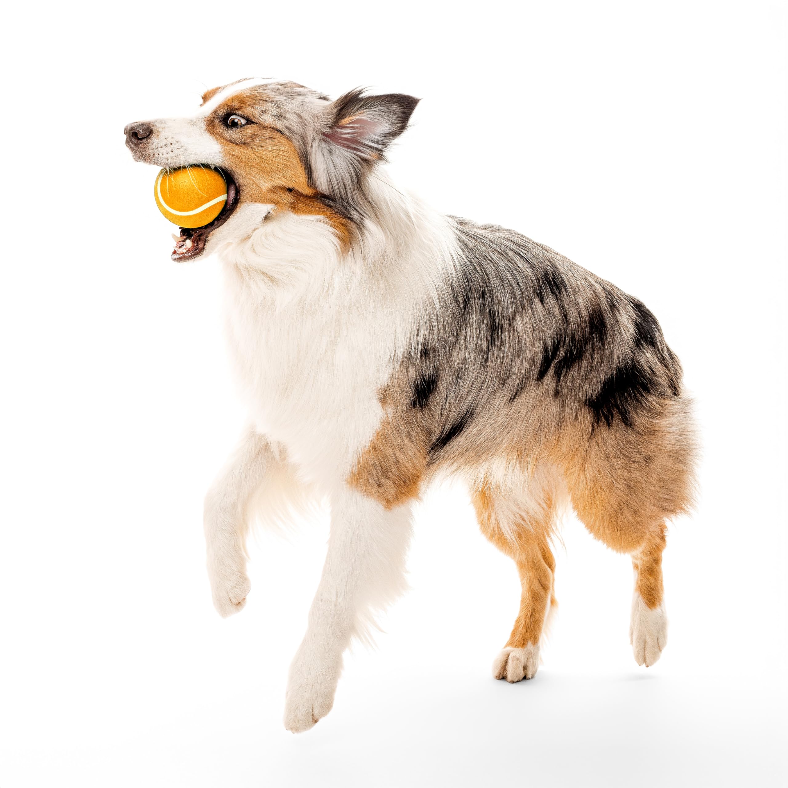 Playology Cheddar Scent Encapsiscent action highlights long-lasting scent dogs enjoy during sniff-and-play.