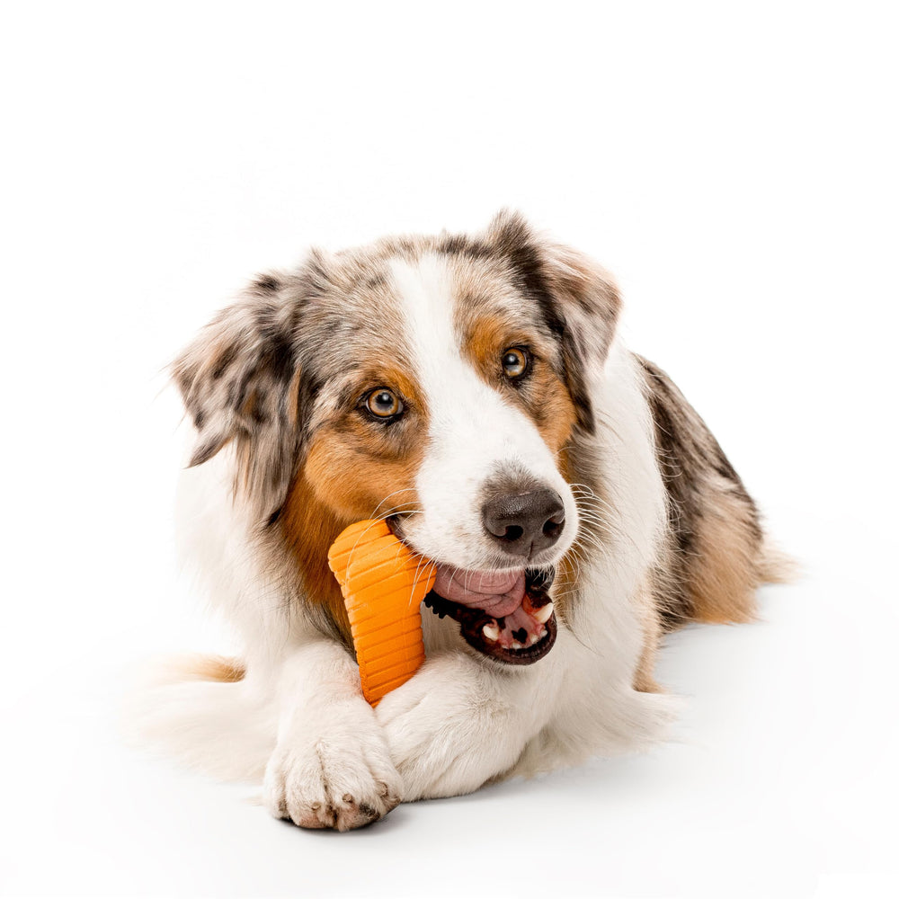 Playology cheddar-scented dog toy giant engages dogs with long-lasting aroma.