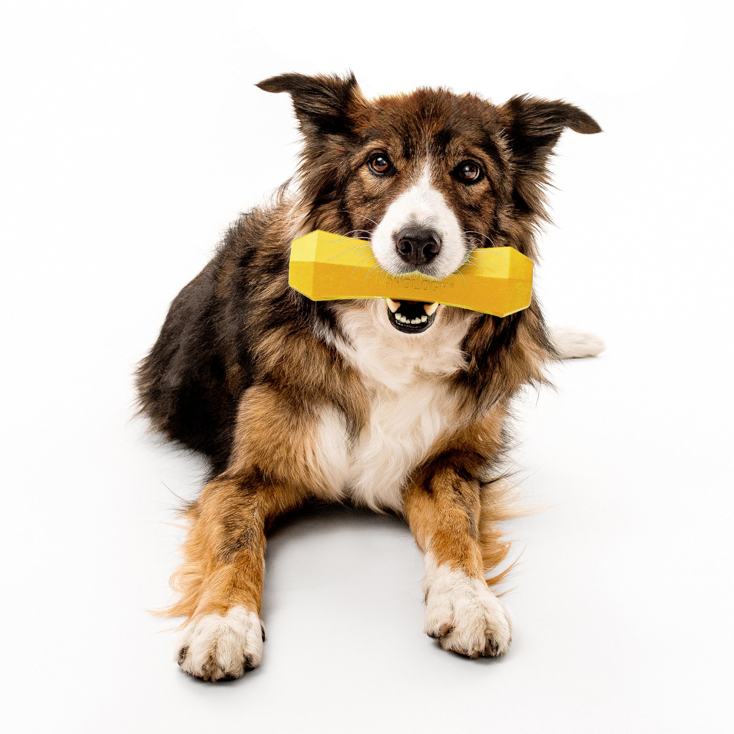 Playology dog toy floats in water for pool or lake fetch.