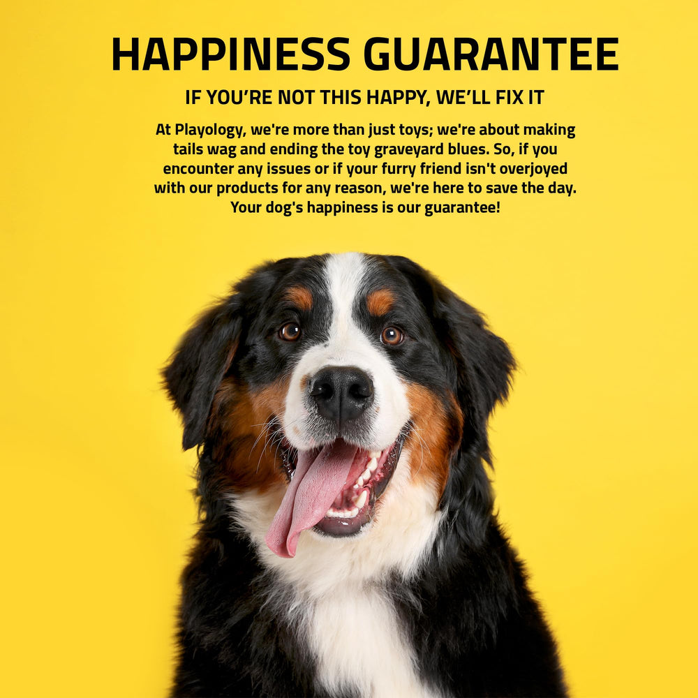 Playology dog toy with washable rubber texture supports repeat play sessions.
