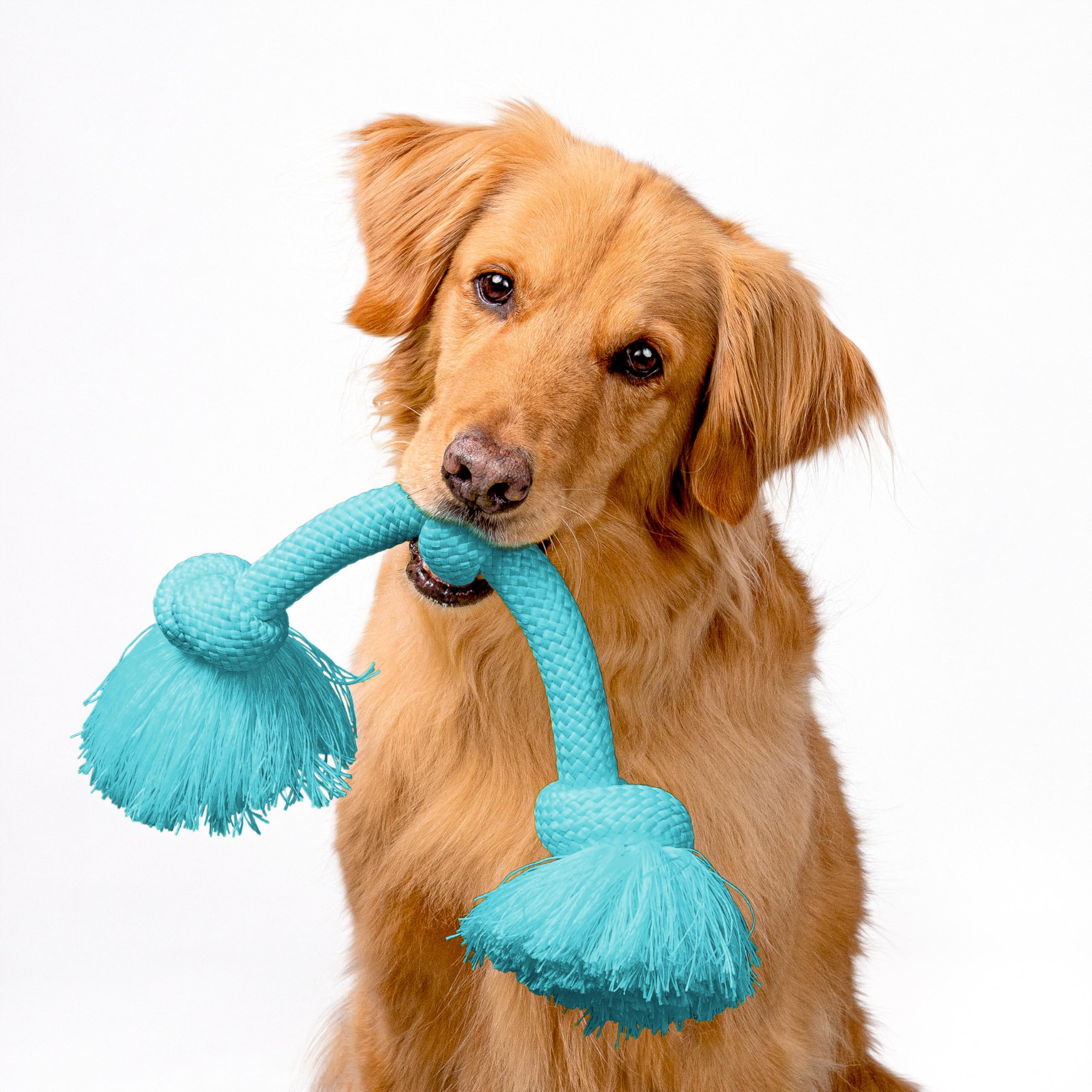Playology Dri-Tech rope toy peanut butter scent enhancing interactive fun
