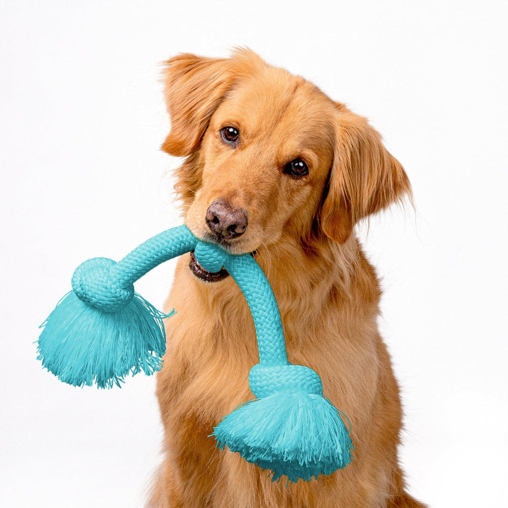 Playology Dri-Tech rope toy peanut butter scent enhancing interactive fun