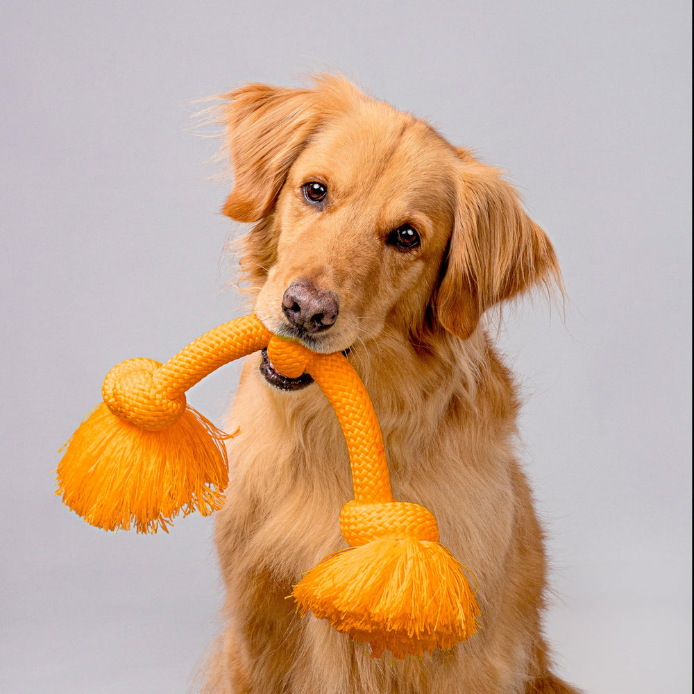 Playology Dri-Tech rope toy being washed to show machine washable convenience