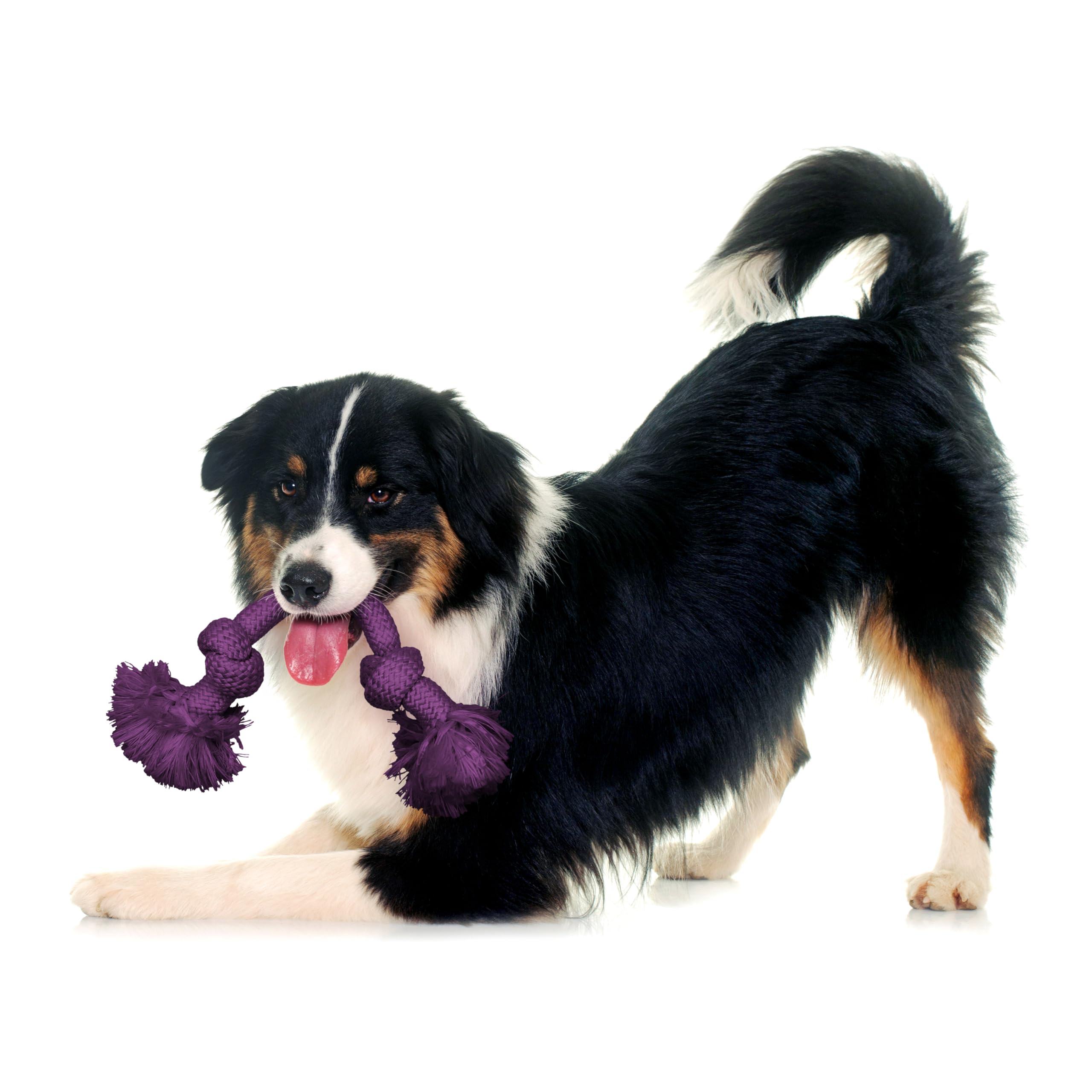 Playology Dri-Tech Rope Tug designed for medium dogs with durable chew resistance.
