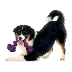Playology Dri-Tech Rope Tug designed for medium dogs with durable chew resistance.