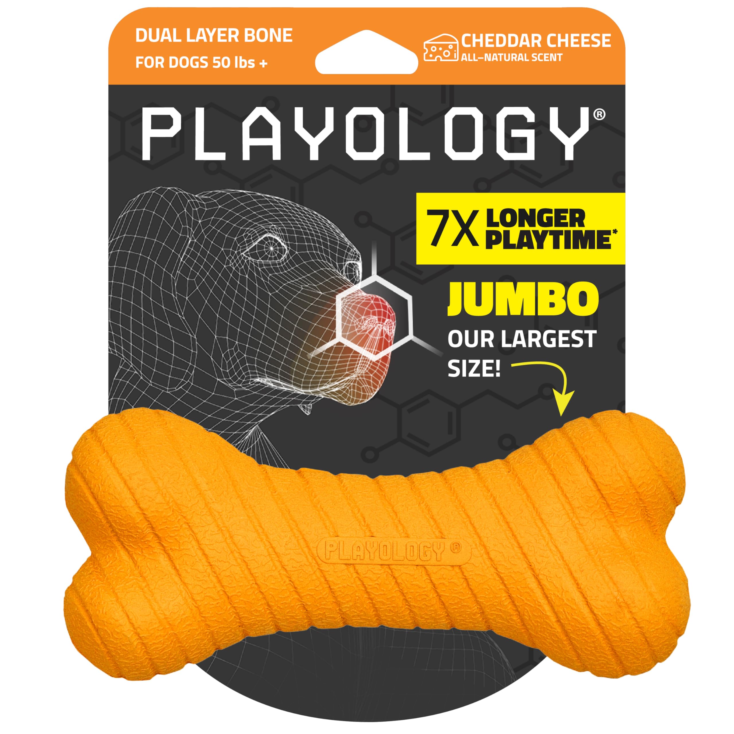 Playology dual-layer bone closeup-cheddar highlights durable chew for strong chewers.