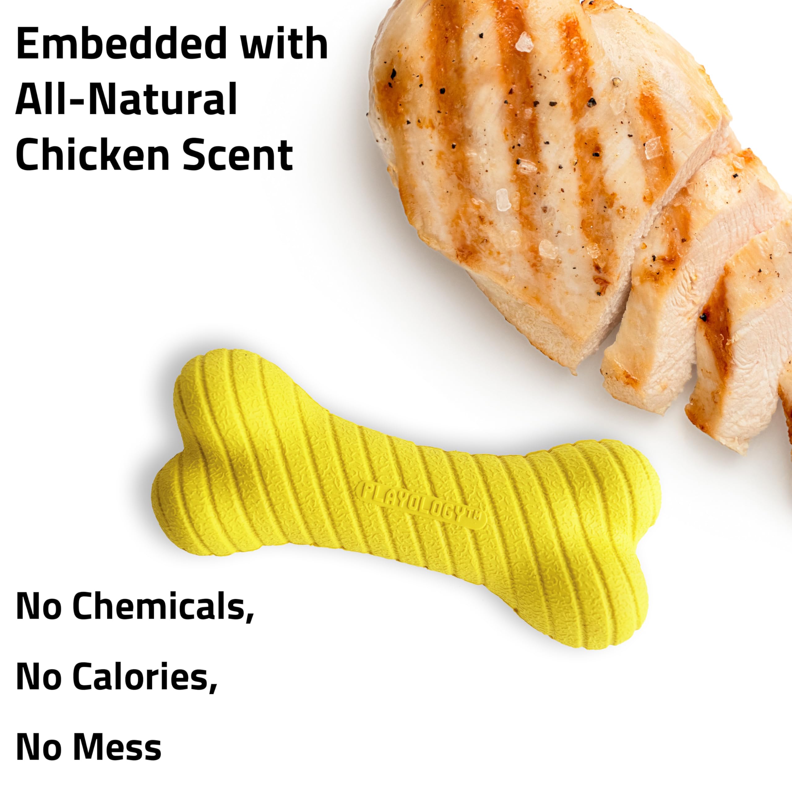 Playology Dual Layer Bone outdoor-use view shows rugged chew for indoor and outdoor play
