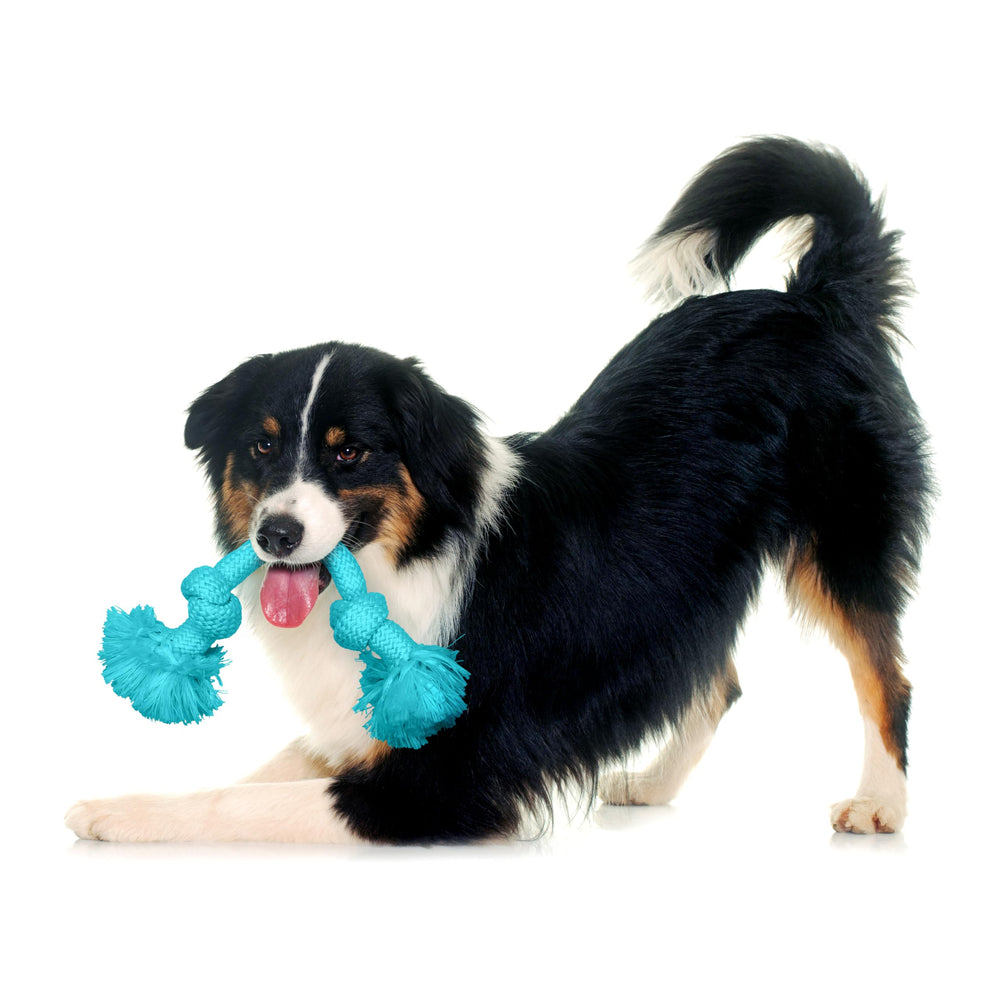 Playology Cuerda duradera de tamaño mediano para perros activos