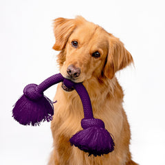 Playology Encapsiscent bacon-scent detail demonstrates long-lasting aroma that engages dogs.