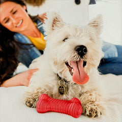 Playology Encapsiscent beef scent technology boosts extended playtime engagement.