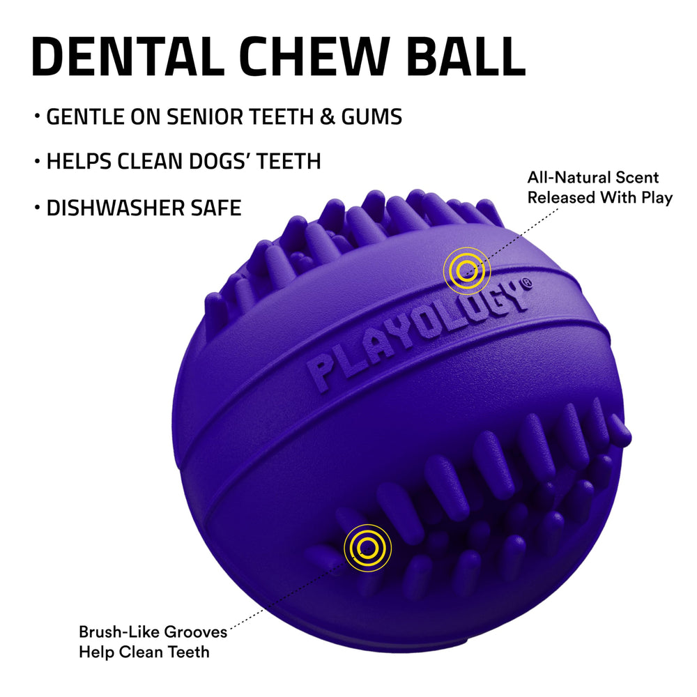 Playology encapsiscent-technology toy releases scent during chewing to boost engagement.