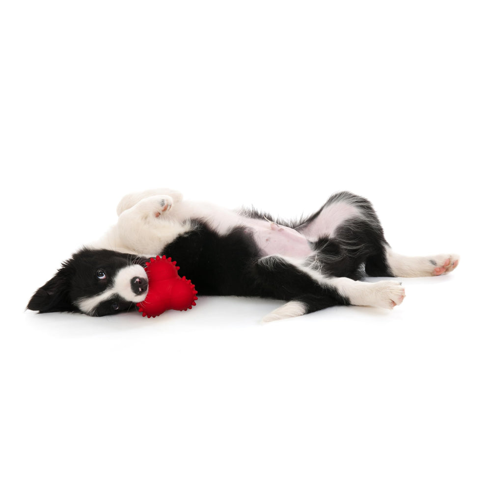 Playology Encapsiscent technology scent inside ball attracting dogs.