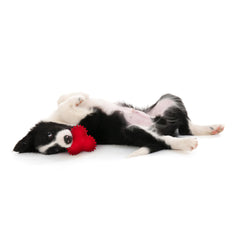 Playology Encapsiscent technology scent inside ball attracting dogs.