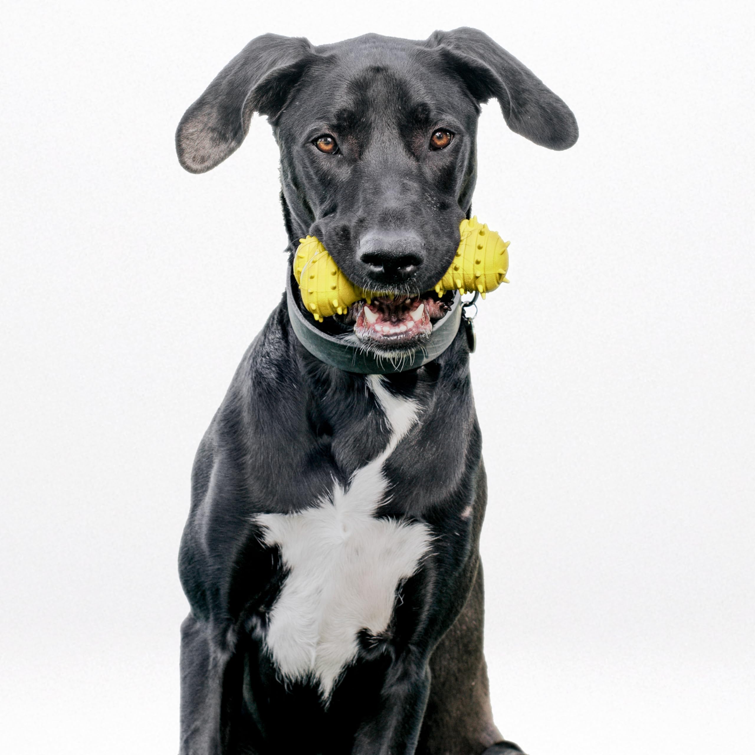 Playology Encapsiscent technology scent-release toy for lasting interest.