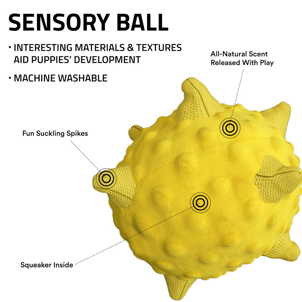 Playology encapsiscent technology highlights natural scent embedded for enduring dog appeal.