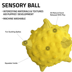 Playology encapsiscent technology highlights natural scent embedded for enduring dog appeal.