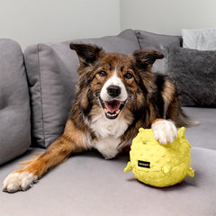 Playology jumbo chicken-scented ball shows long-lasting scent for interactive fetch.