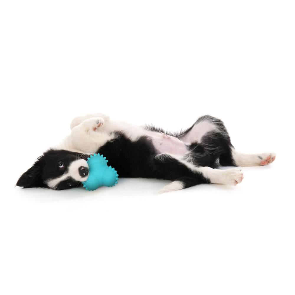 Playology medium peanut butter scented ball for puppies up to 50 lbs