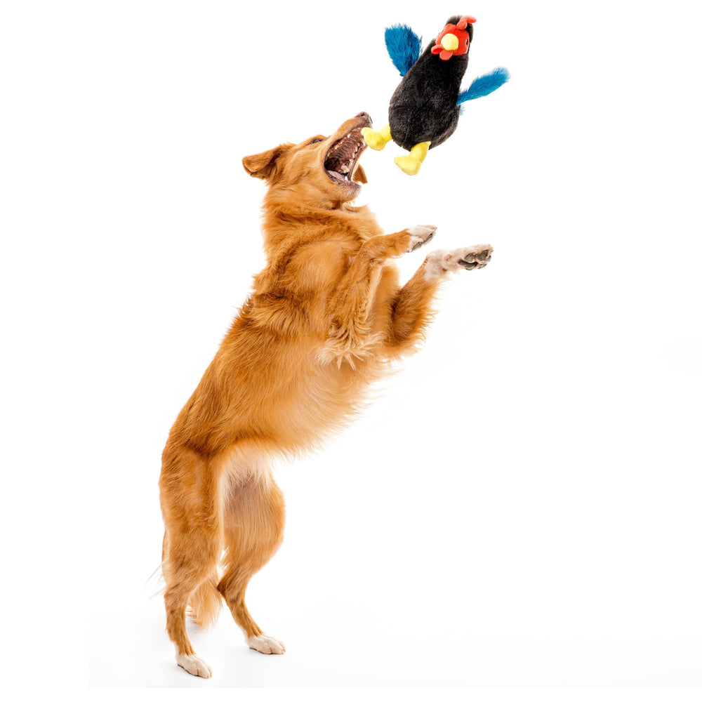 Playology plush hen toy squeaks during play to invite interactive fetch and cuddling.