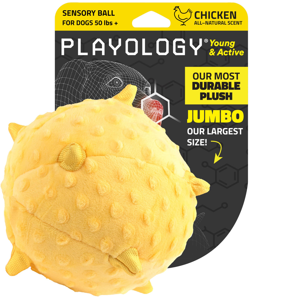 Playology plush toy ball for puppies offers extended indoor and outdoor playtime.