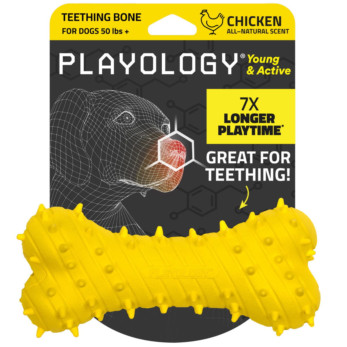 Playology puppy teething bone with chicken scent for extended chew engagement.
