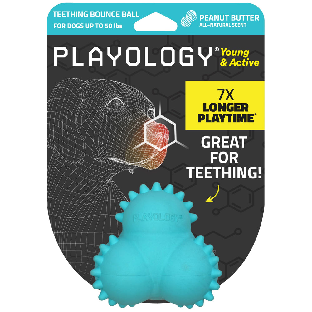 Playology puppy teething bounce ball closeup showing safe spikes for chewing and scent pull