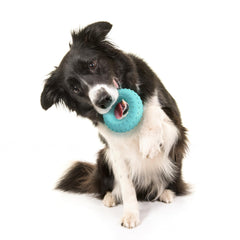 Playology ring toy close-up—textured layers shown for safe chewing and dental comfort.