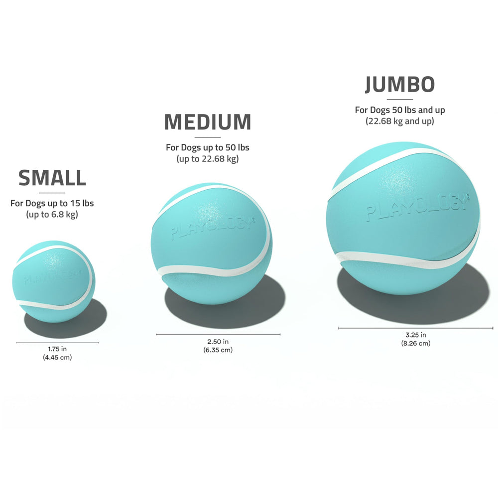 Value 3-pack Playology Squeaky Chew Ball for varied daily fetch sessions.